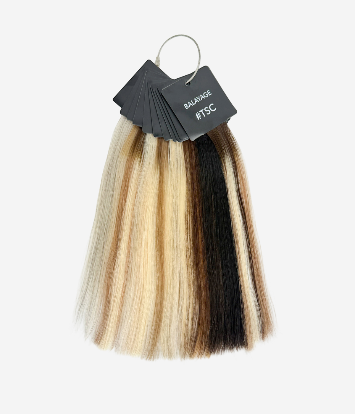 Hair Topper Color Ring | Balayage & Solid Shades | Professional Matching Tool