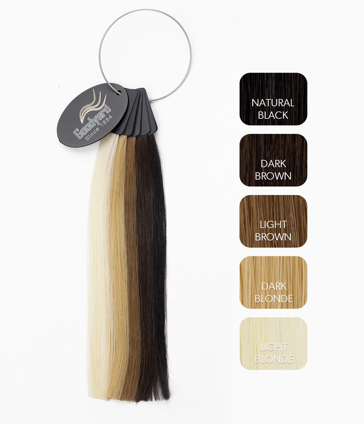 Color Chart- 5 Color For PureLift Hair Extensions