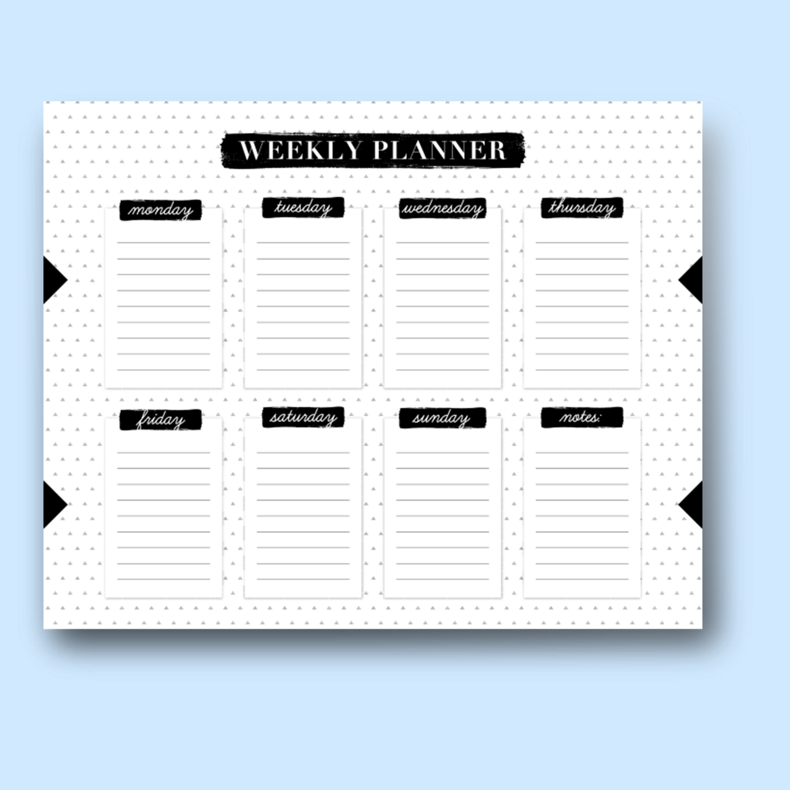  Filing & Organization 