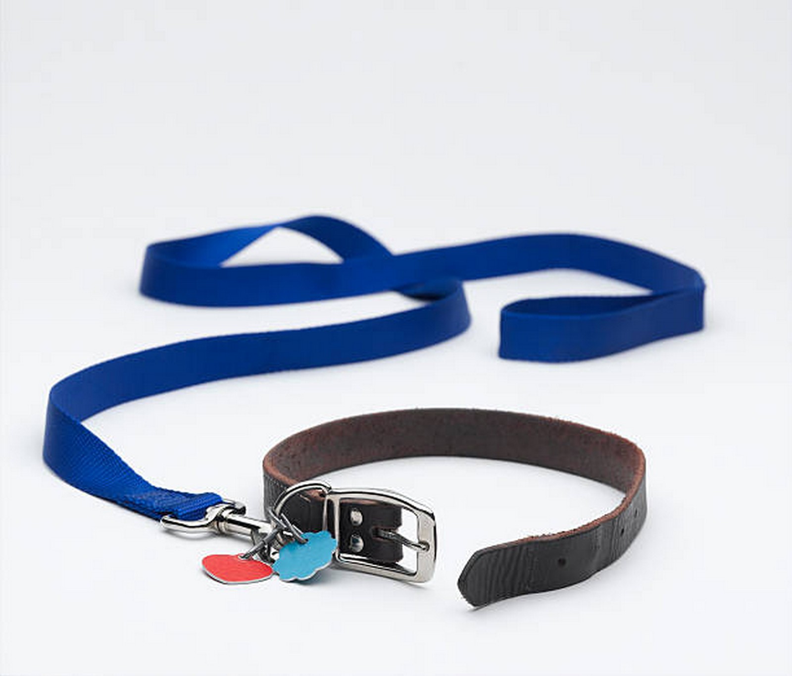 Pet Collars & Harnesses