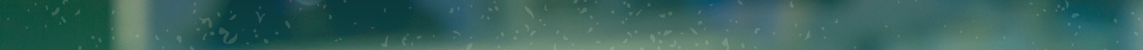 Page Banner
