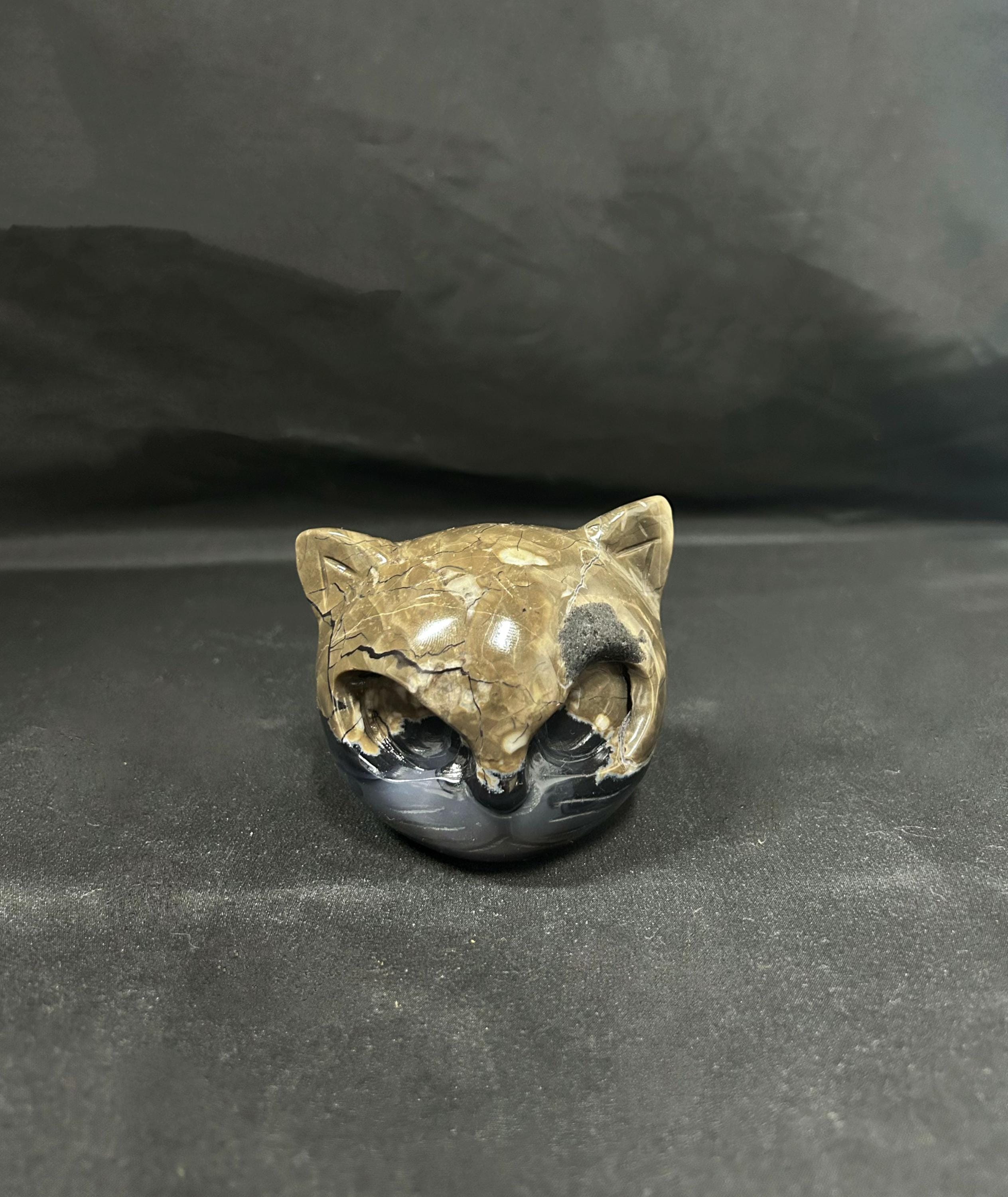 Volcanic Agate Cat Head Carving, Natural Lava Stone, Realistic Cat Sculpture, Unique Mineral Specimen, Cat Lover Gift
