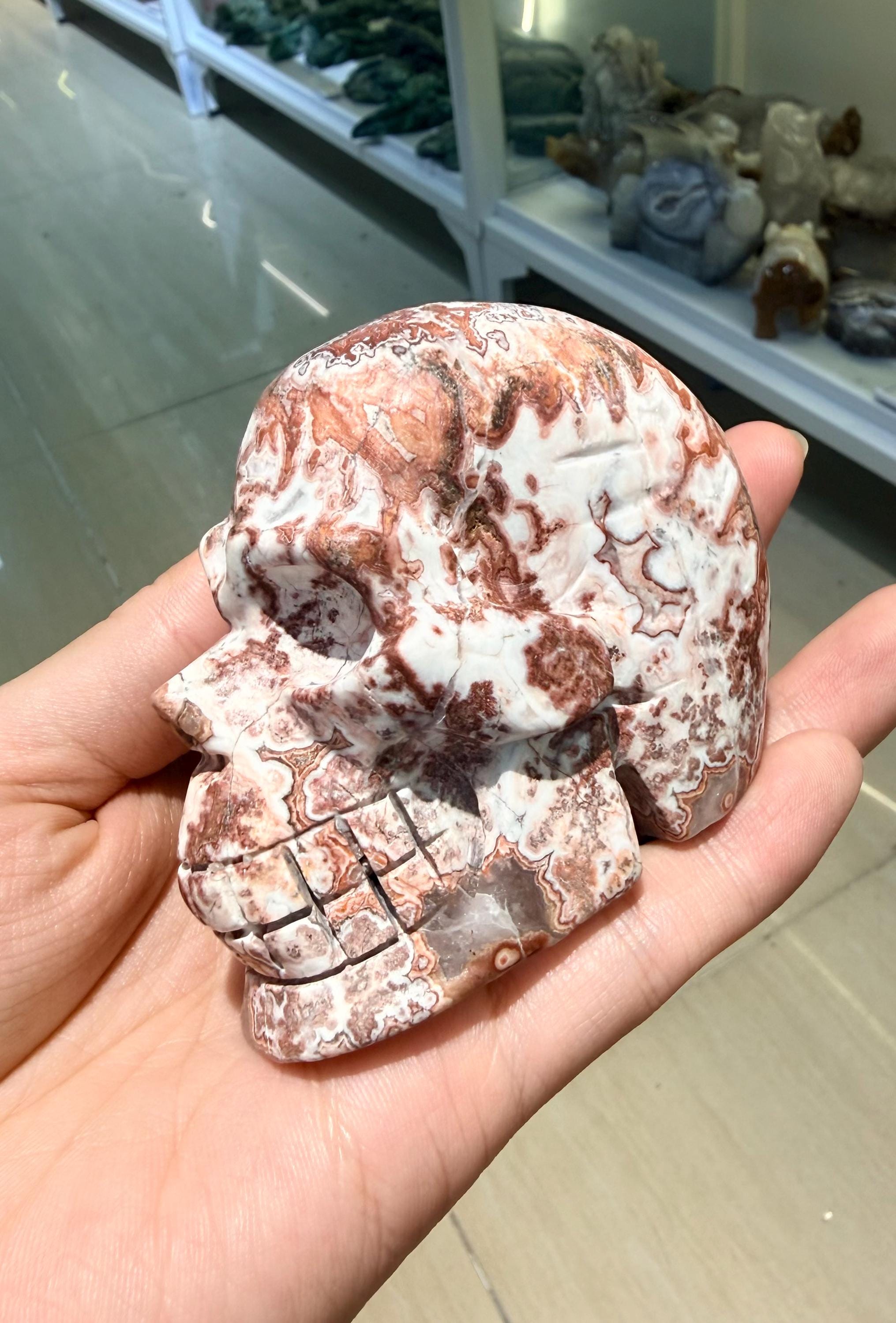 Crystal Skull, Crazy Lace Agate Carving, Large Gemstone Figurine, Gothic Home Decor, Halloween Altar Decor