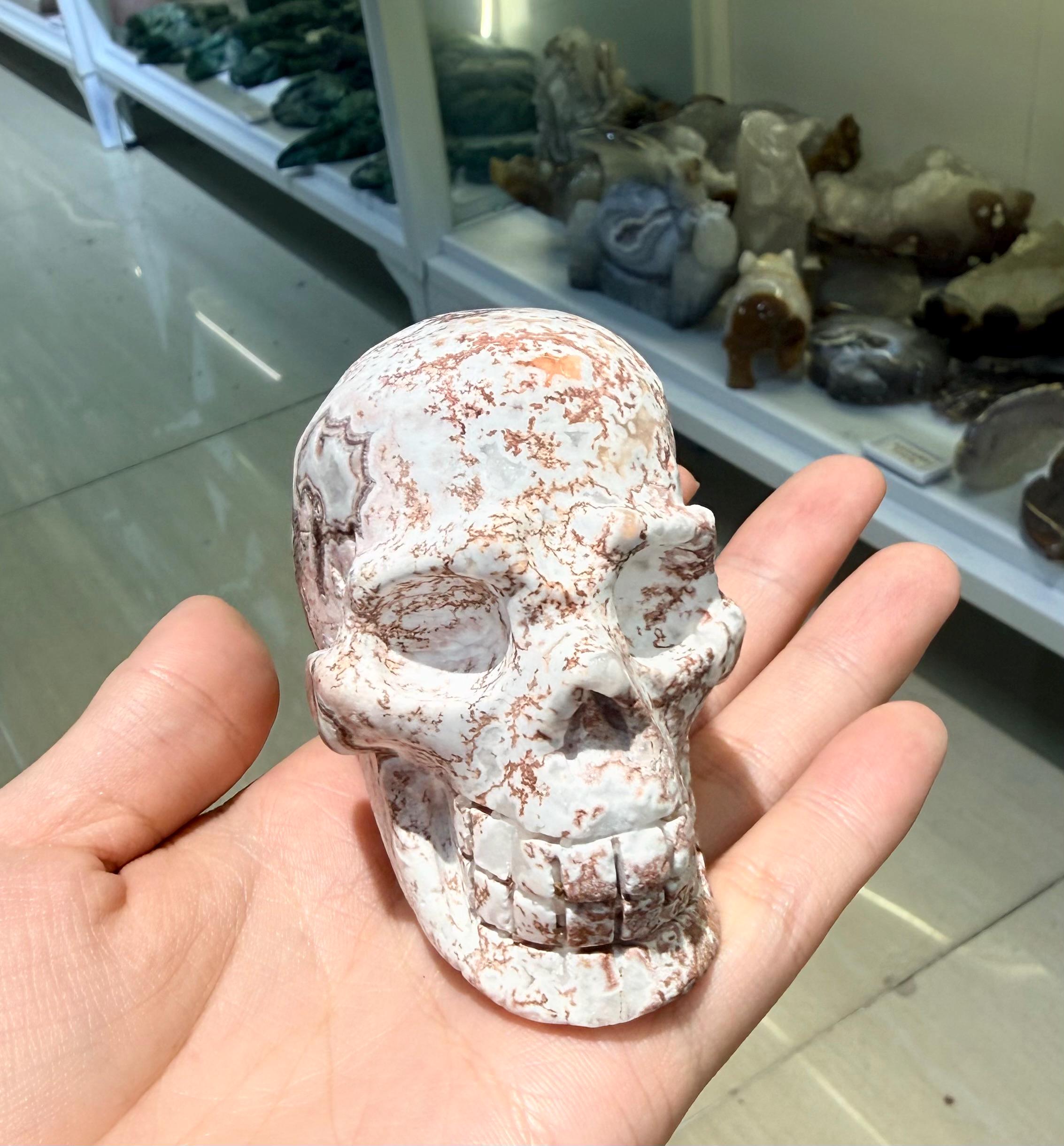 Crystal Skull, Crazy Lace Agate Carving, Large Gemstone Figurine, Gothic Home Decor, Halloween Altar Decor