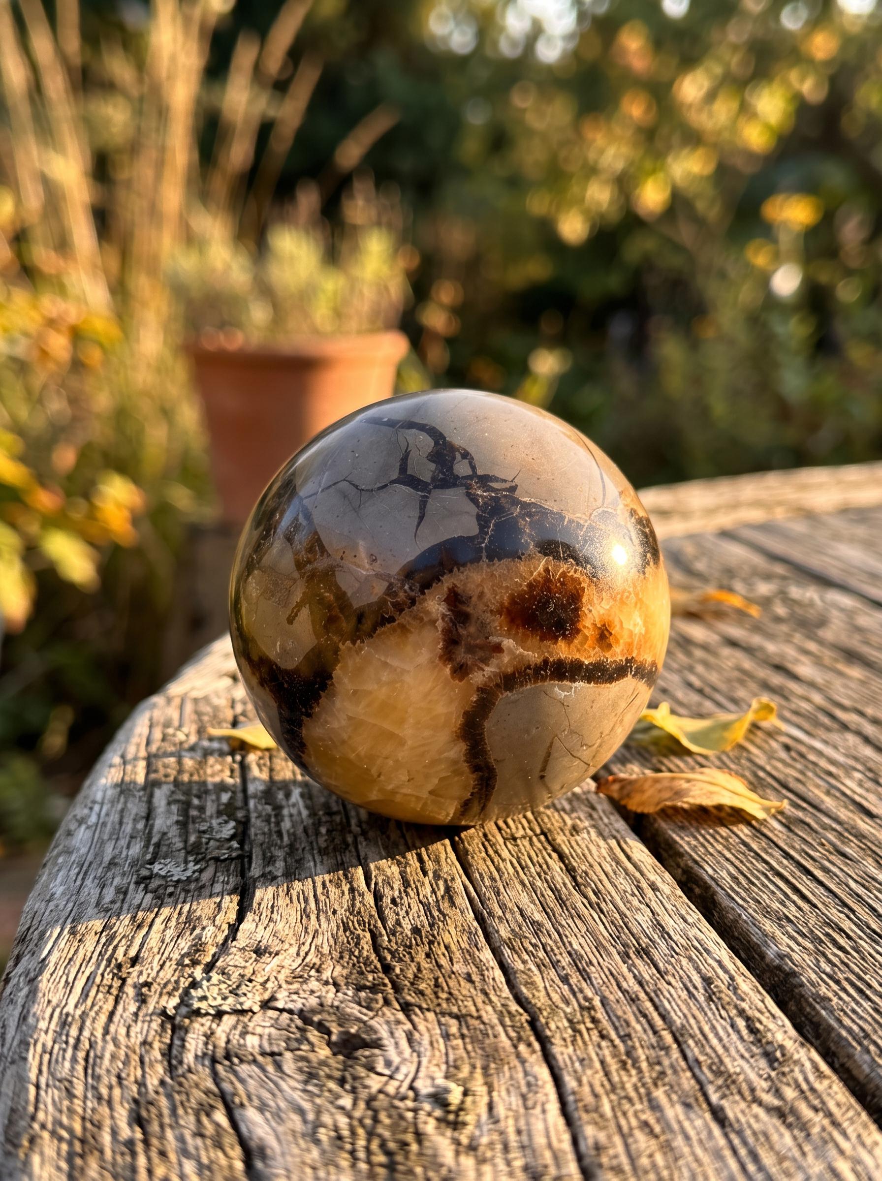 Septarian Sphere Natural Dragon Stone Crystal Ball  Mineral Decor Collector Gift
