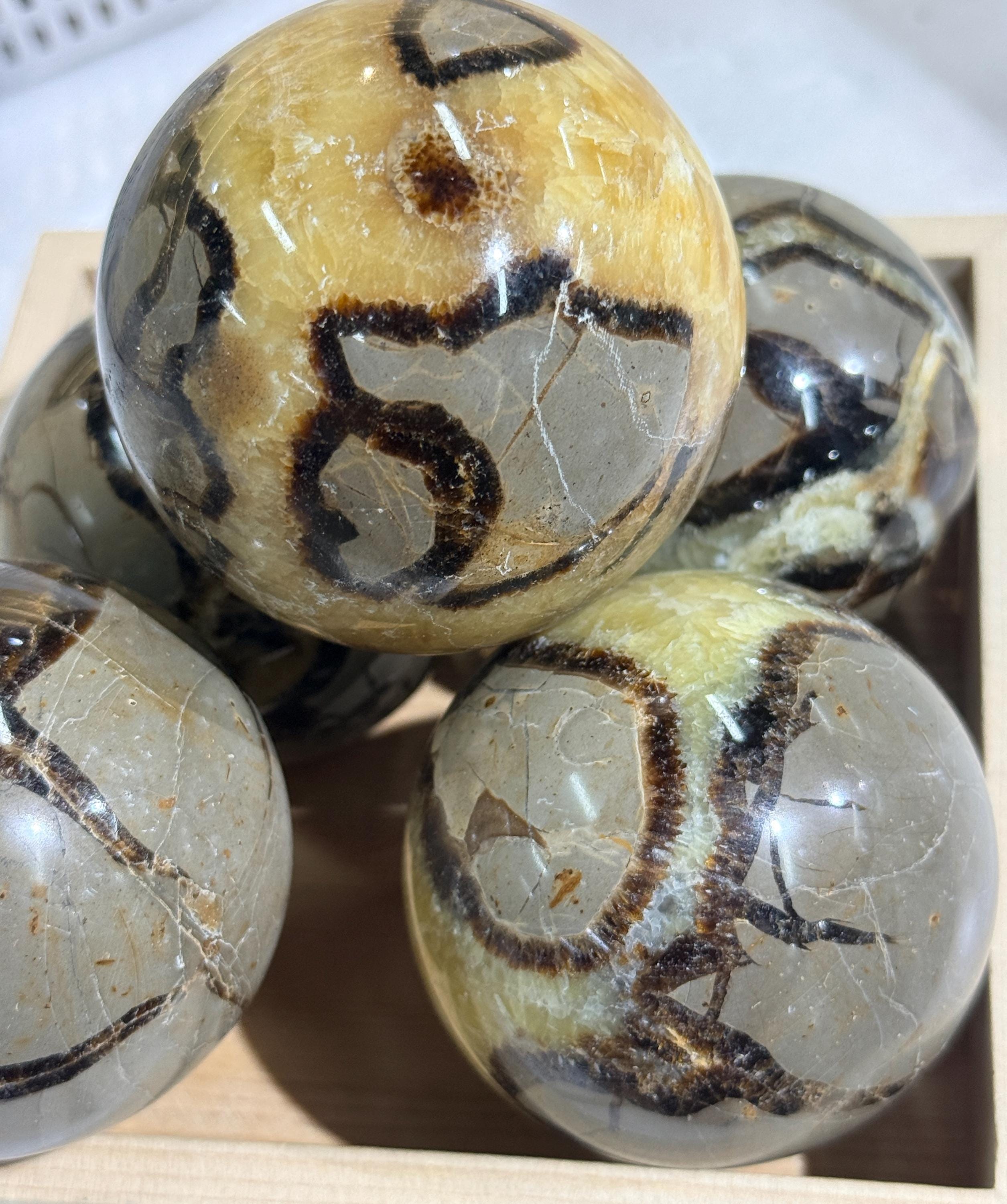 Septarian Sphere Natural Dragon Stone Crystal Ball  Mineral Decor Collector Gift