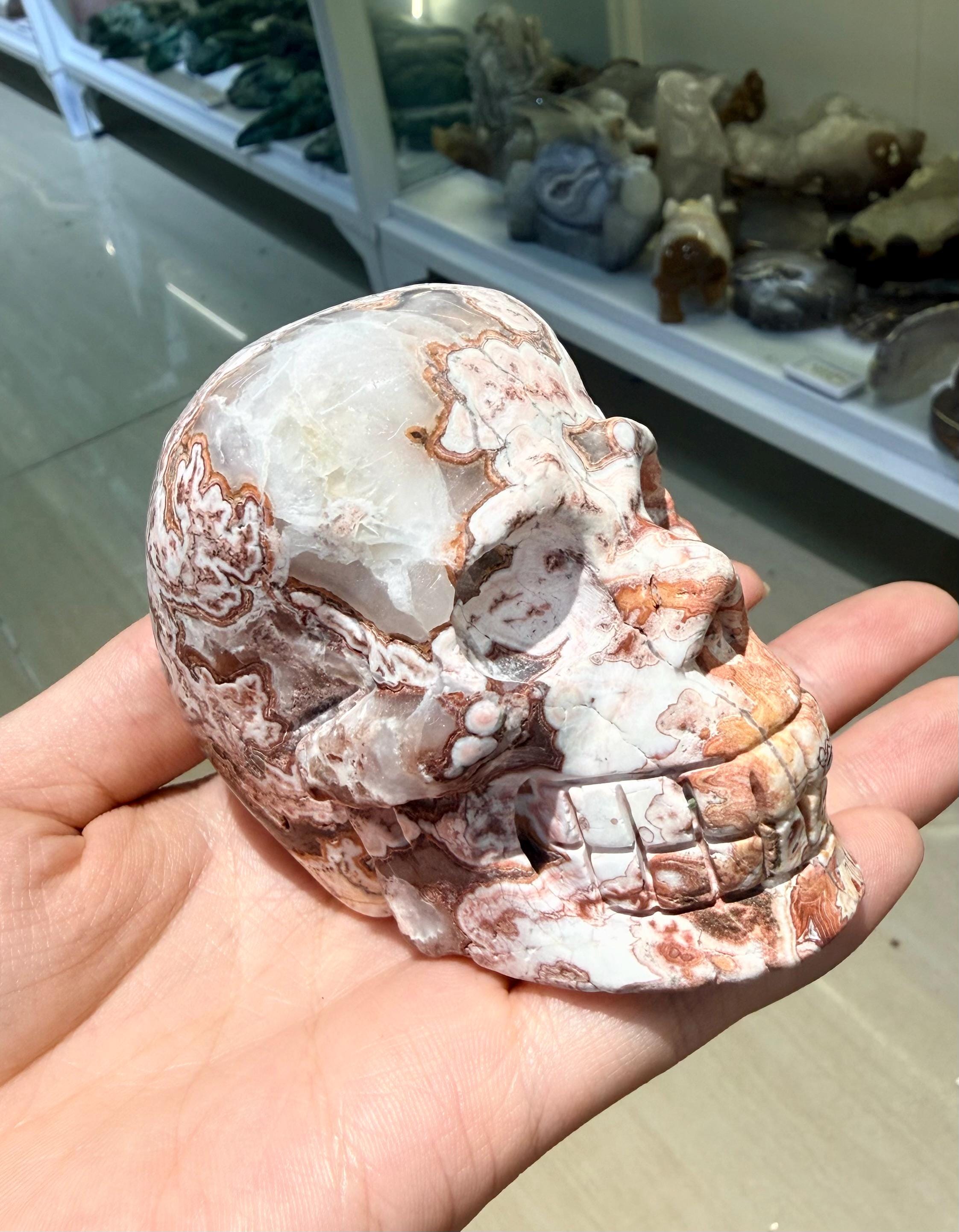 Crystal Skull, Crazy Lace Agate Carving, Large Gemstone Figurine, Gothic Home Decor, Halloween Altar Decor
