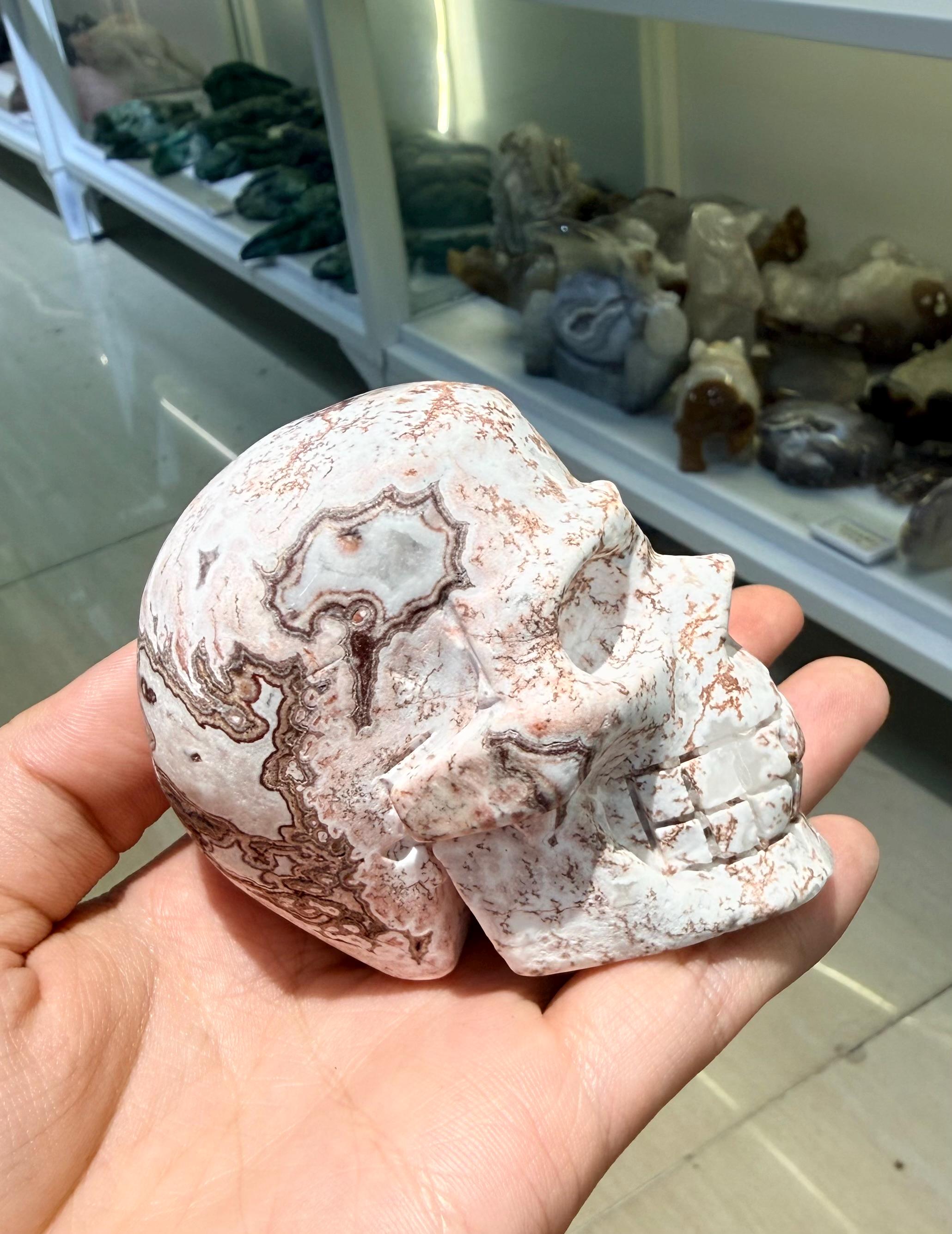 Crystal Skull, Crazy Lace Agate Carving, Large Gemstone Figurine, Gothic Home Decor, Halloween Altar Decor