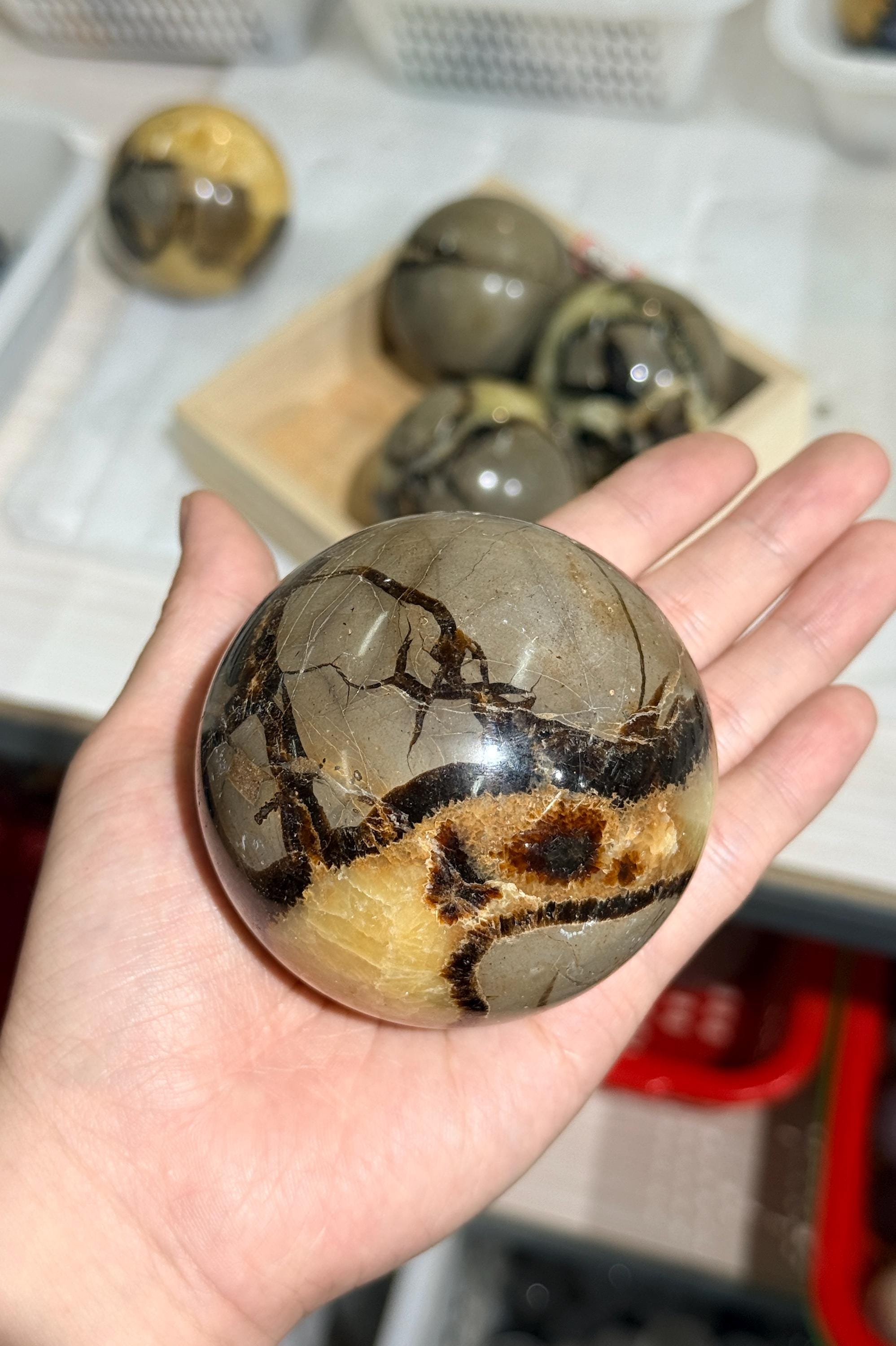Septarian Sphere Natural Dragon Stone Crystal Ball  Mineral Decor Collector Gift