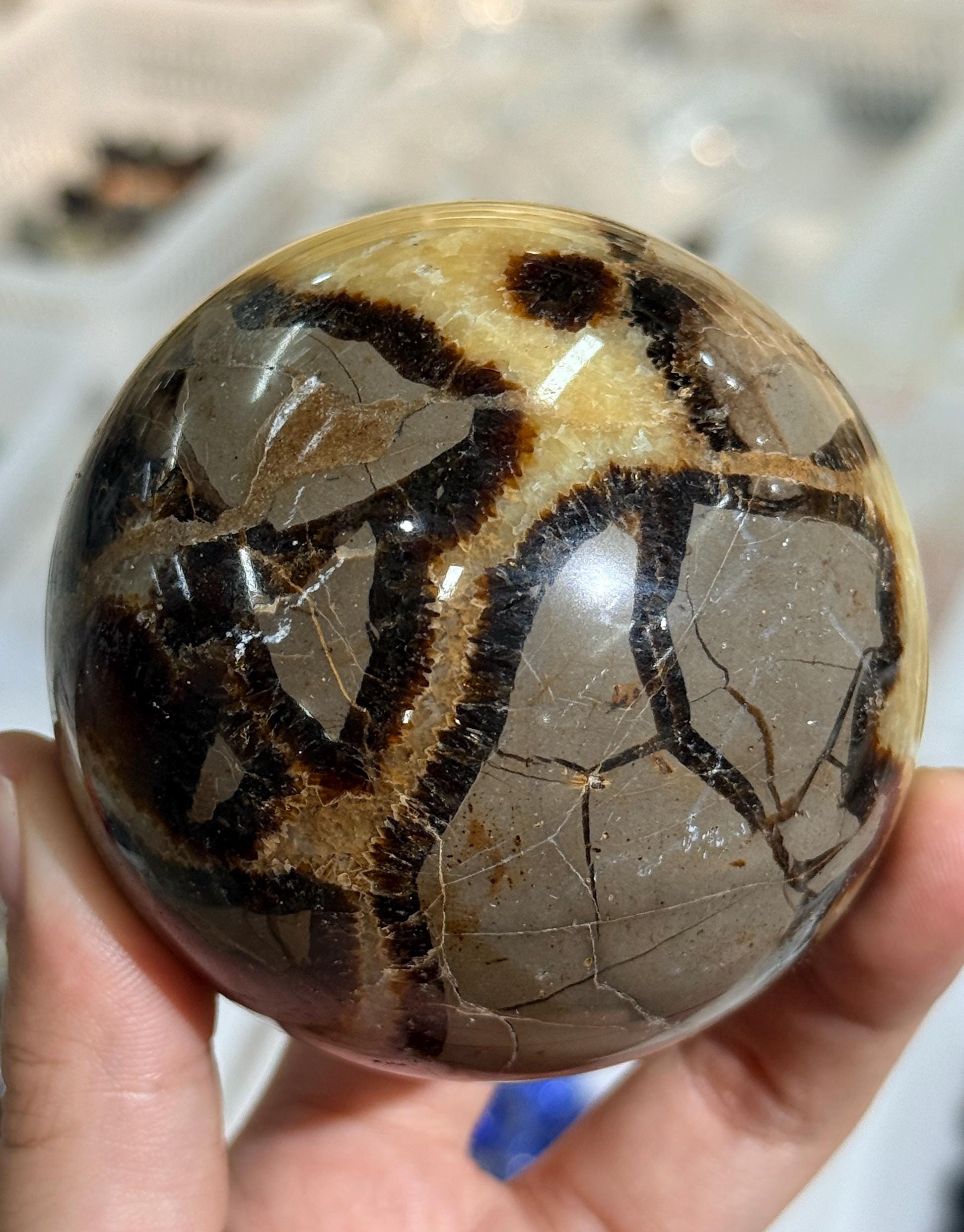 Septarian Sphere Natural Dragon Stone Crystal Ball  Mineral Decor Collector Gift