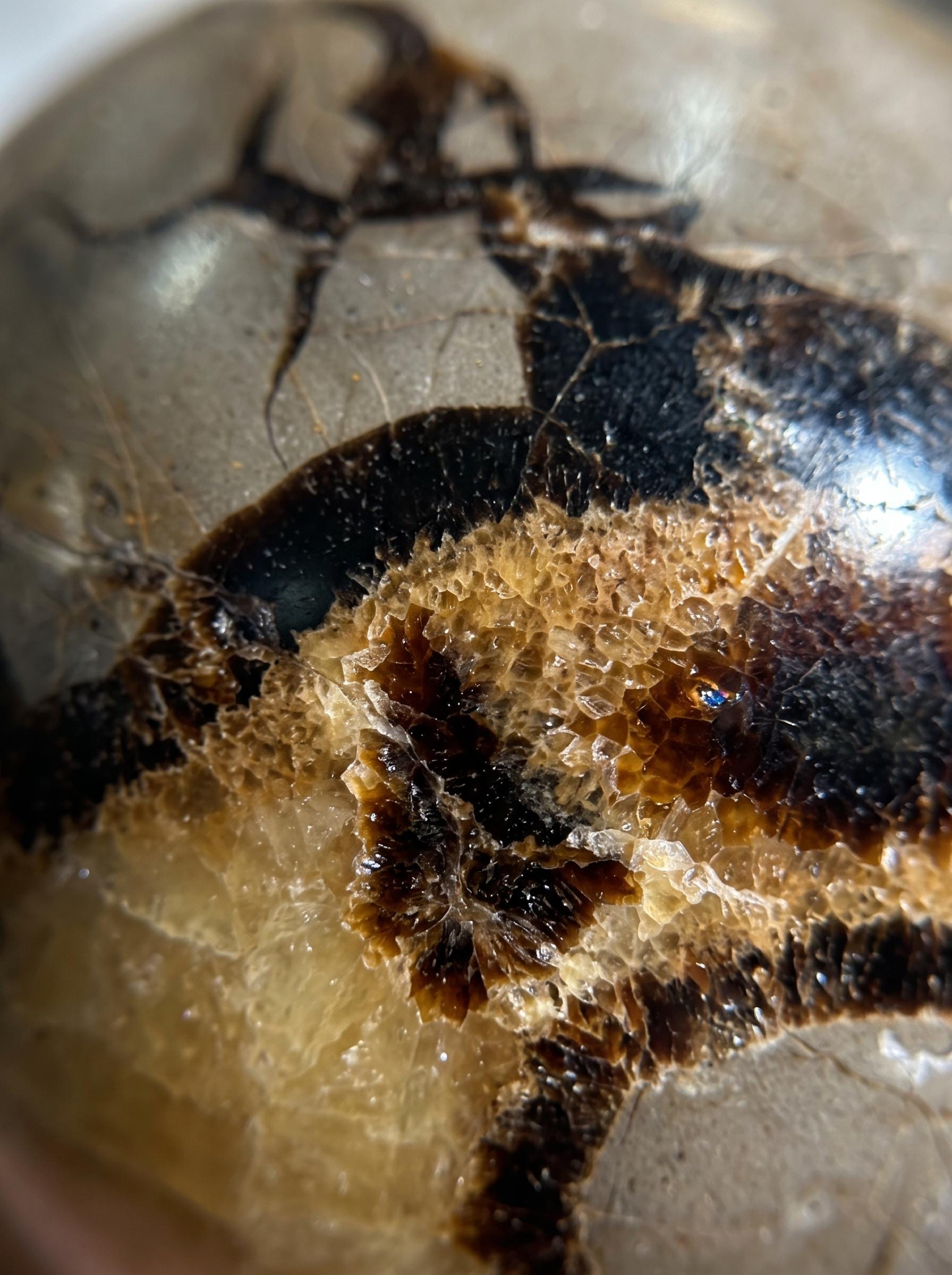 Septarian Sphere Natural Dragon Stone Crystal Ball  Mineral Decor Collector Gift