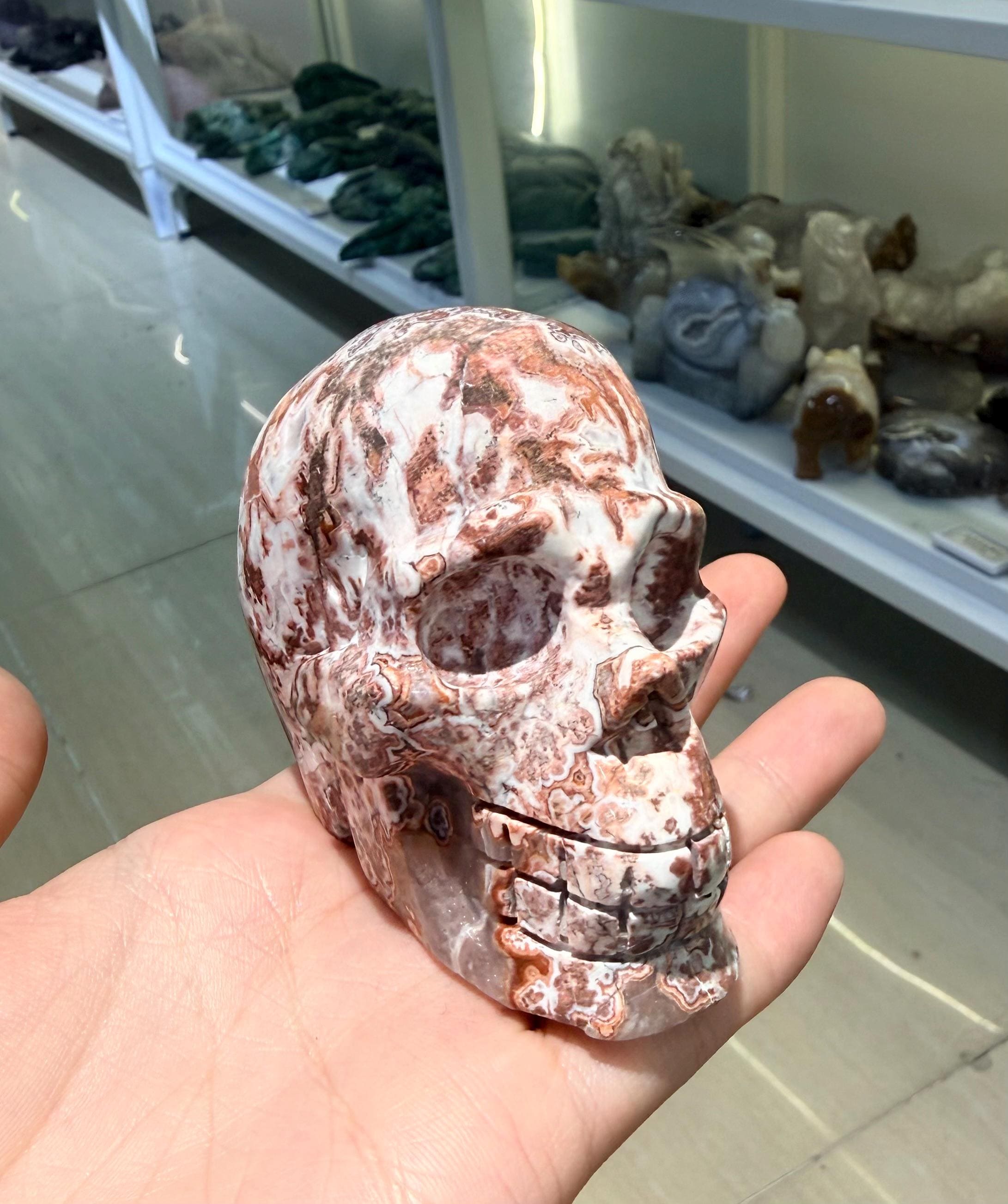 Crystal Skull, Crazy Lace Agate Carving, Large Gemstone Figurine, Gothic Home Decor, Halloween Altar Decor