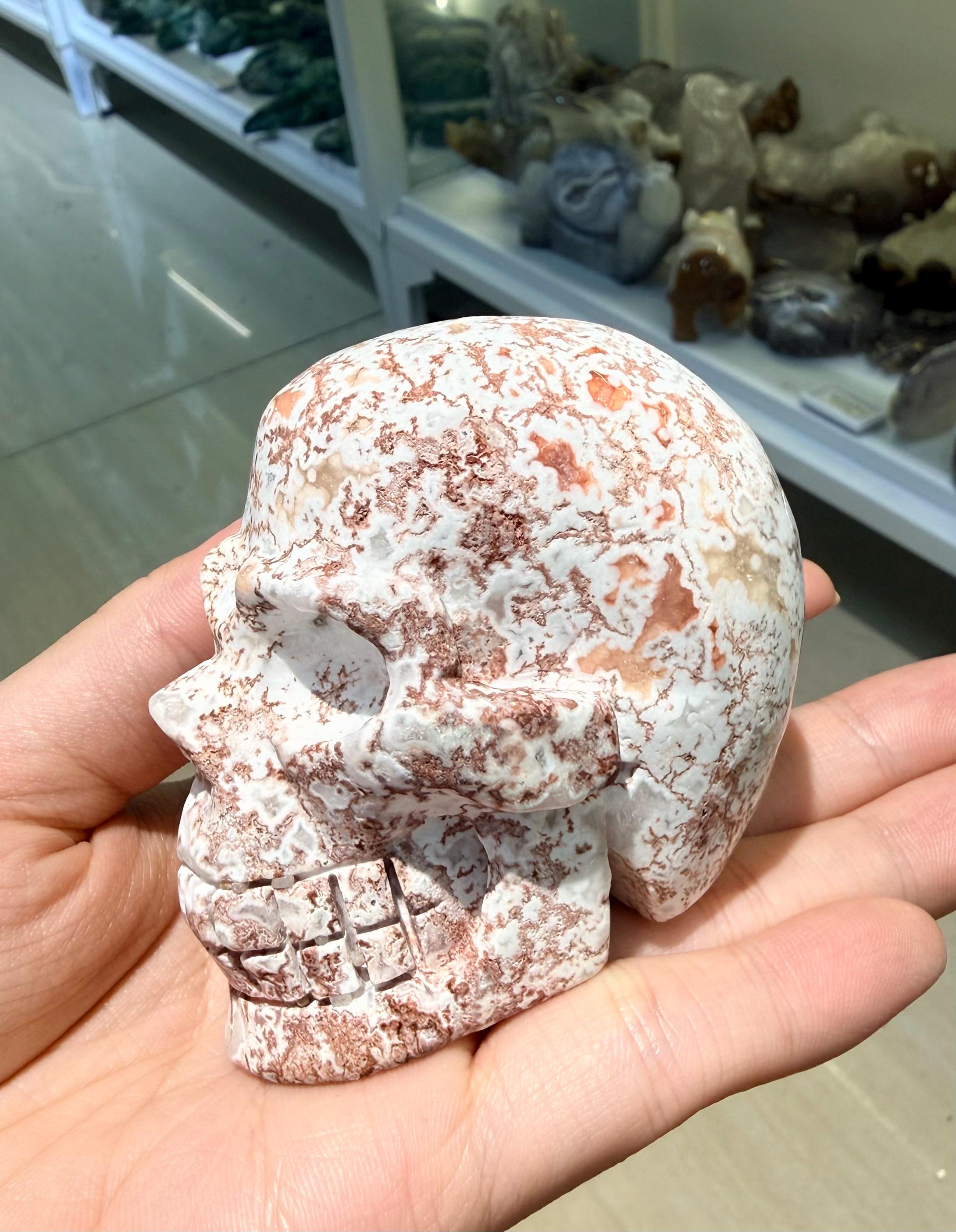 Crystal Skull, Crazy Lace Agate Carving, Large Gemstone Figurine, Gothic Home Decor, Halloween Altar Decor