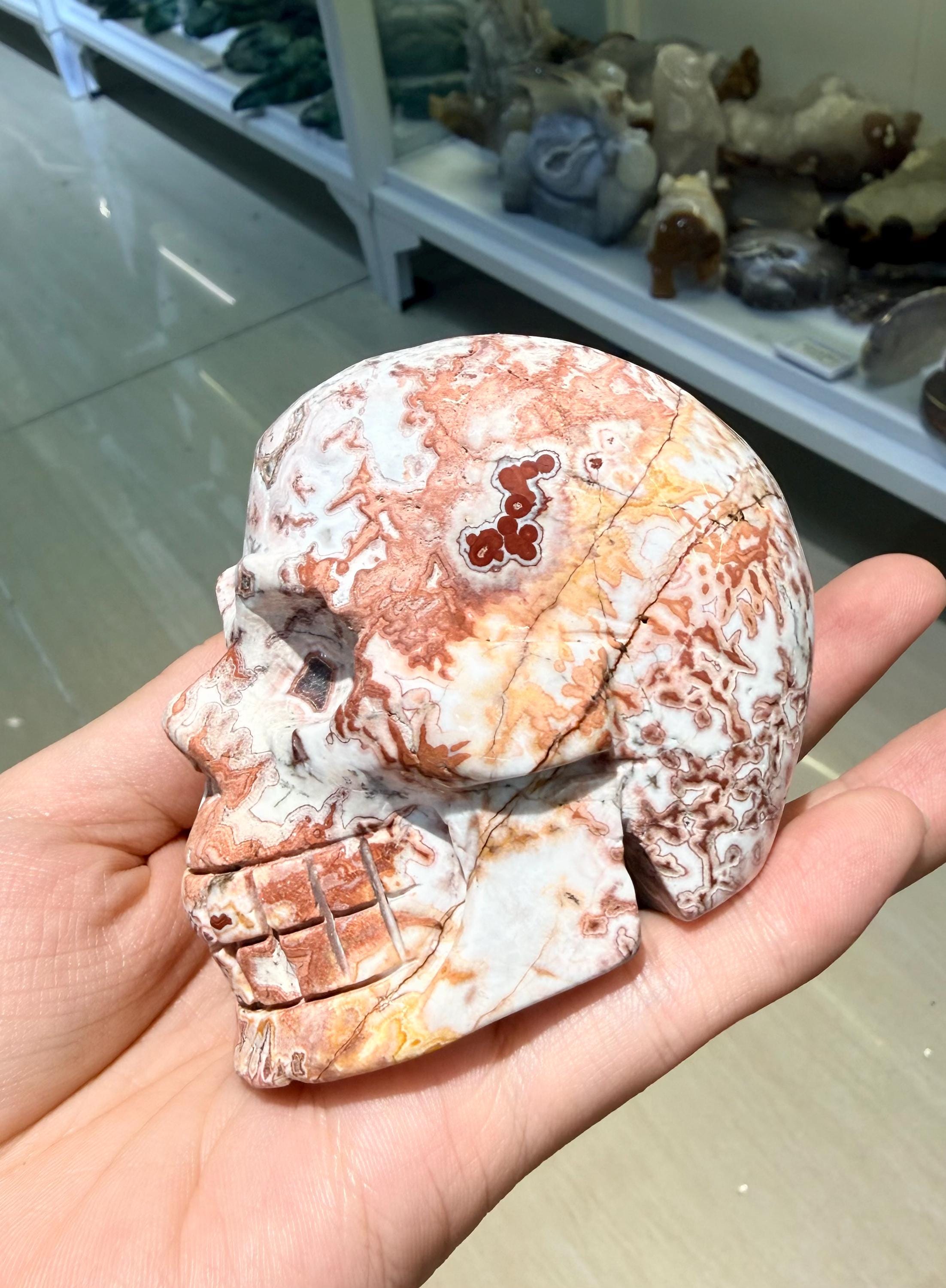 Crystal Skull, Crazy Lace Agate Carving, Large Gemstone Figurine, Gothic Home Decor, Halloween Altar Decor