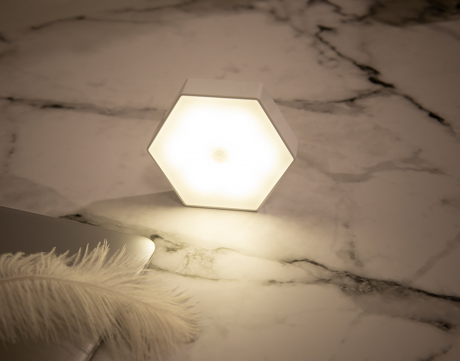 EE5D48D491B337EC79550A59C6B0DD3E.jpg DSC_7335.jpg