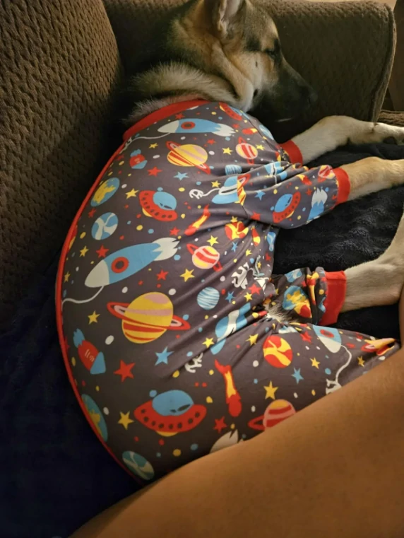 Large dog resting on a couch in space-themed pajamas with planets, rockets, and stars. Cozy and relaxed.