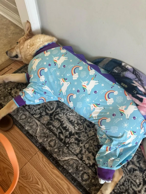 Dog lying on a mat wearing light blue unicorn and rainbow-themed dog pajamas, resting comfortably.