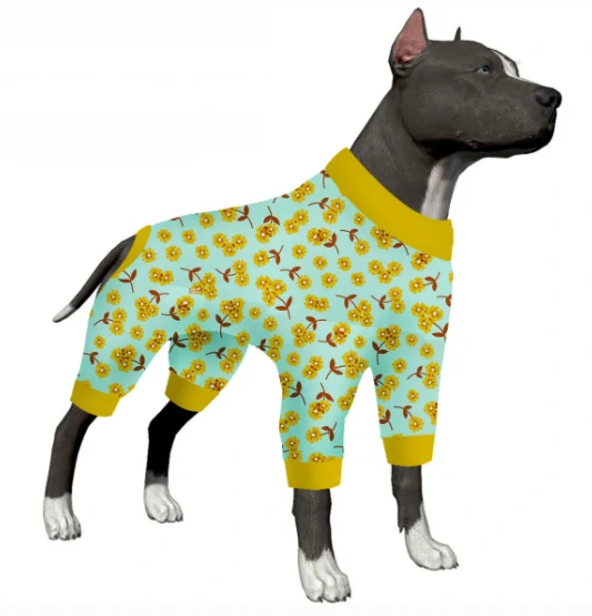 Pit bull wearing light blue pajamas with yellow flower patterns, looking confidently ahead.