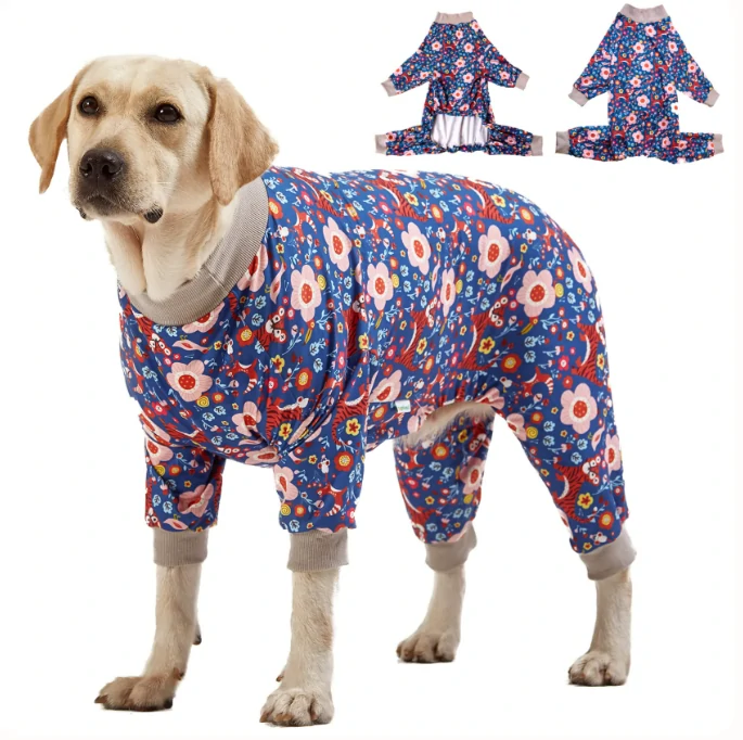 Labrador in floral blue pajamas with gray trim, adorned with red and white flowers, standing on a white background.