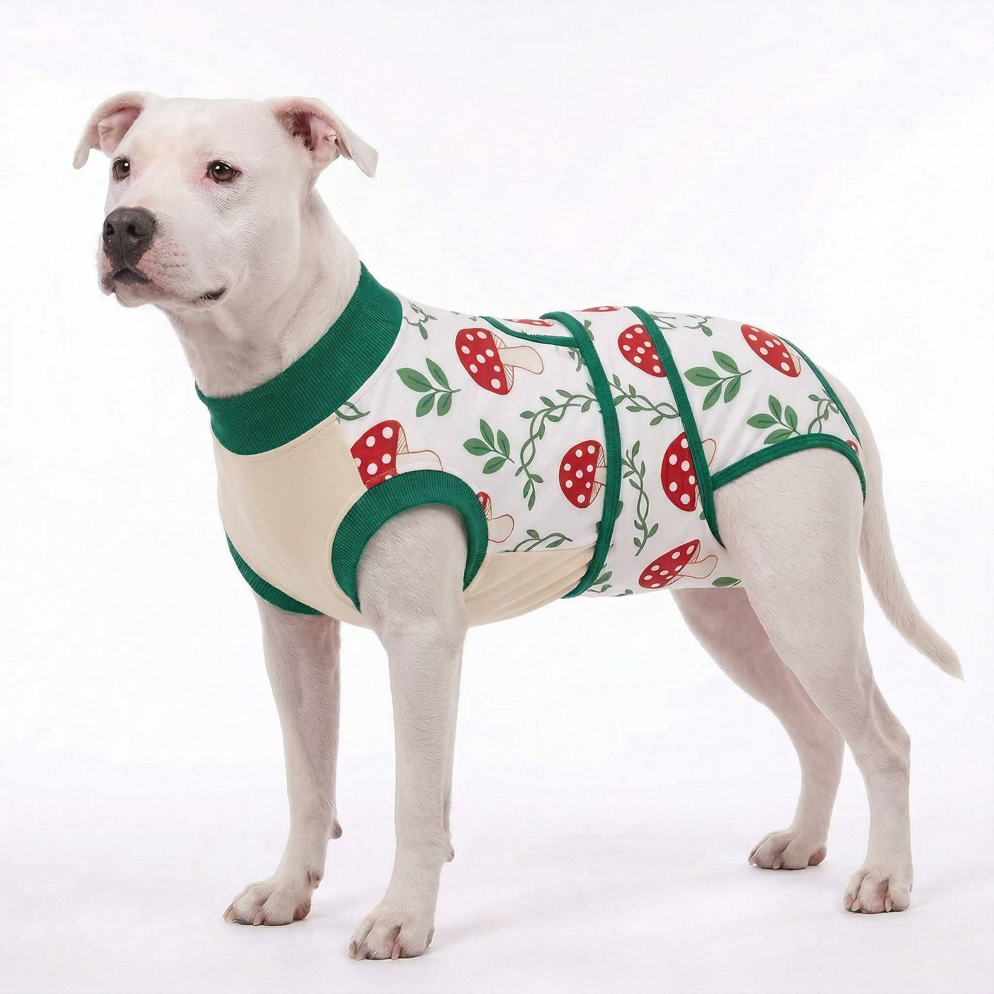 Recovery suits for male and female dogs -  Organic Veggies Prints