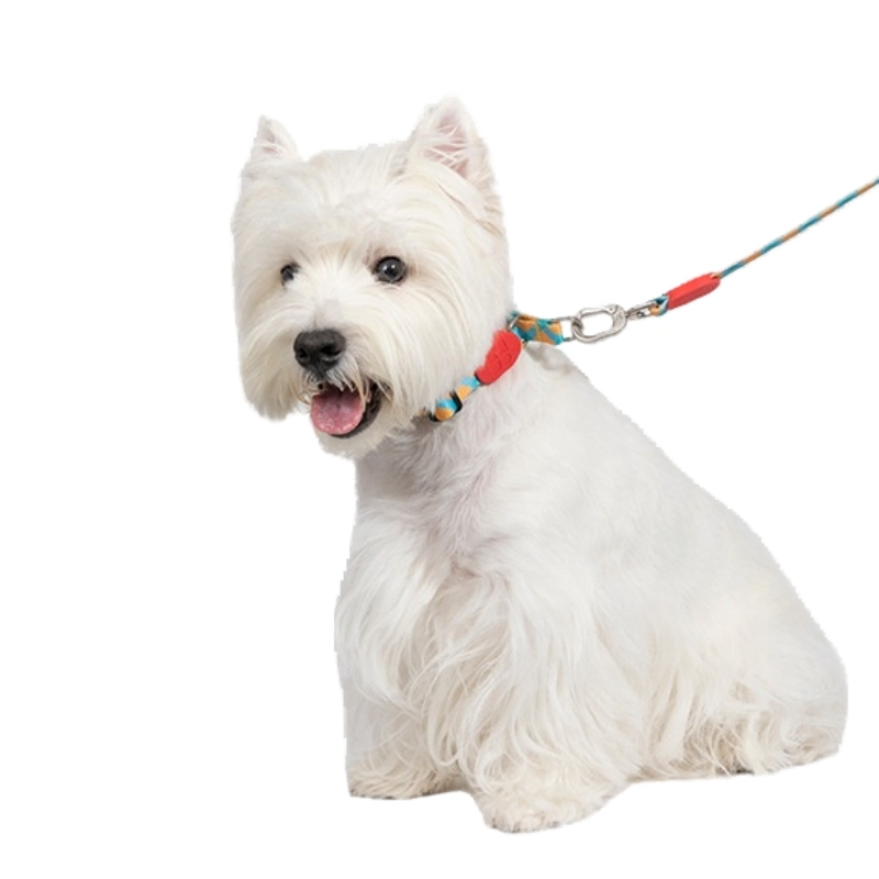 Colorful dog half P collar dog collar small dog collar dog leash walking dog hand holding rope