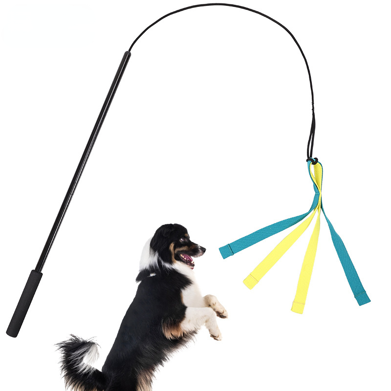 Pet Toy training expandable baton dog throw Rod outdoor interactive detachable throwing device dog training dog toy