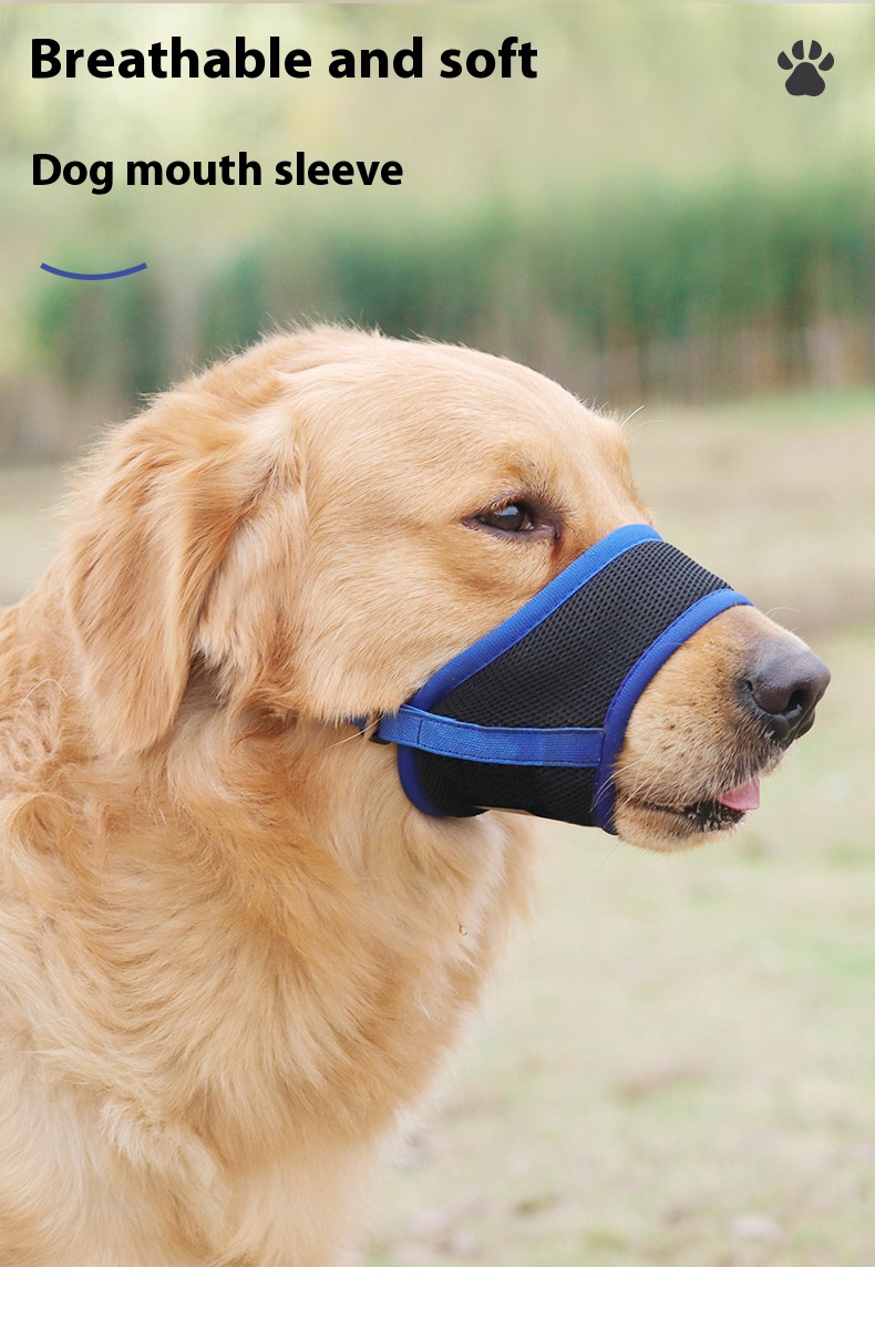 i2aWi/+syNQCDNrwBMfLHAsXJu2CTQNQ5SbG