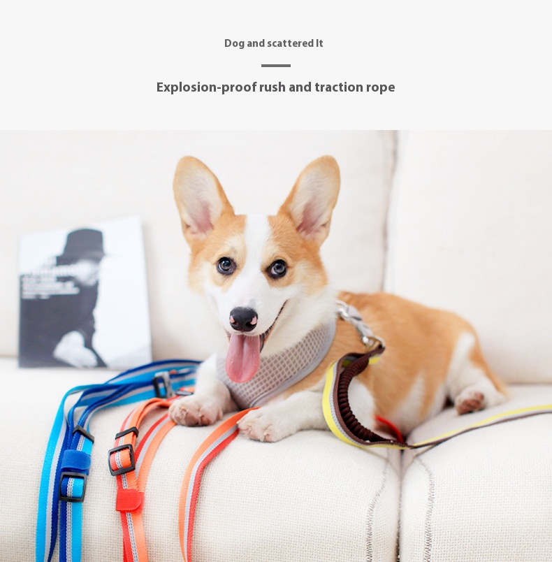 i2aWi/+syNQCDNrwBMfKHA9DqmPWYgyH2bra