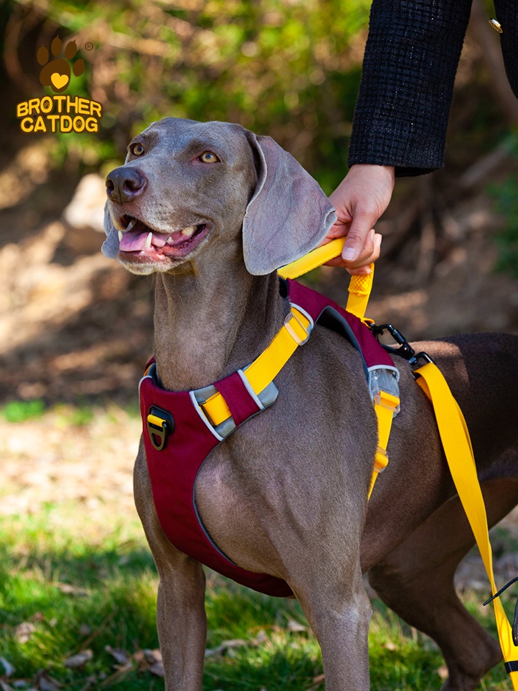 Dog breast strap pet dog hand holding rope explosion-proof strap retractable large dog small dog