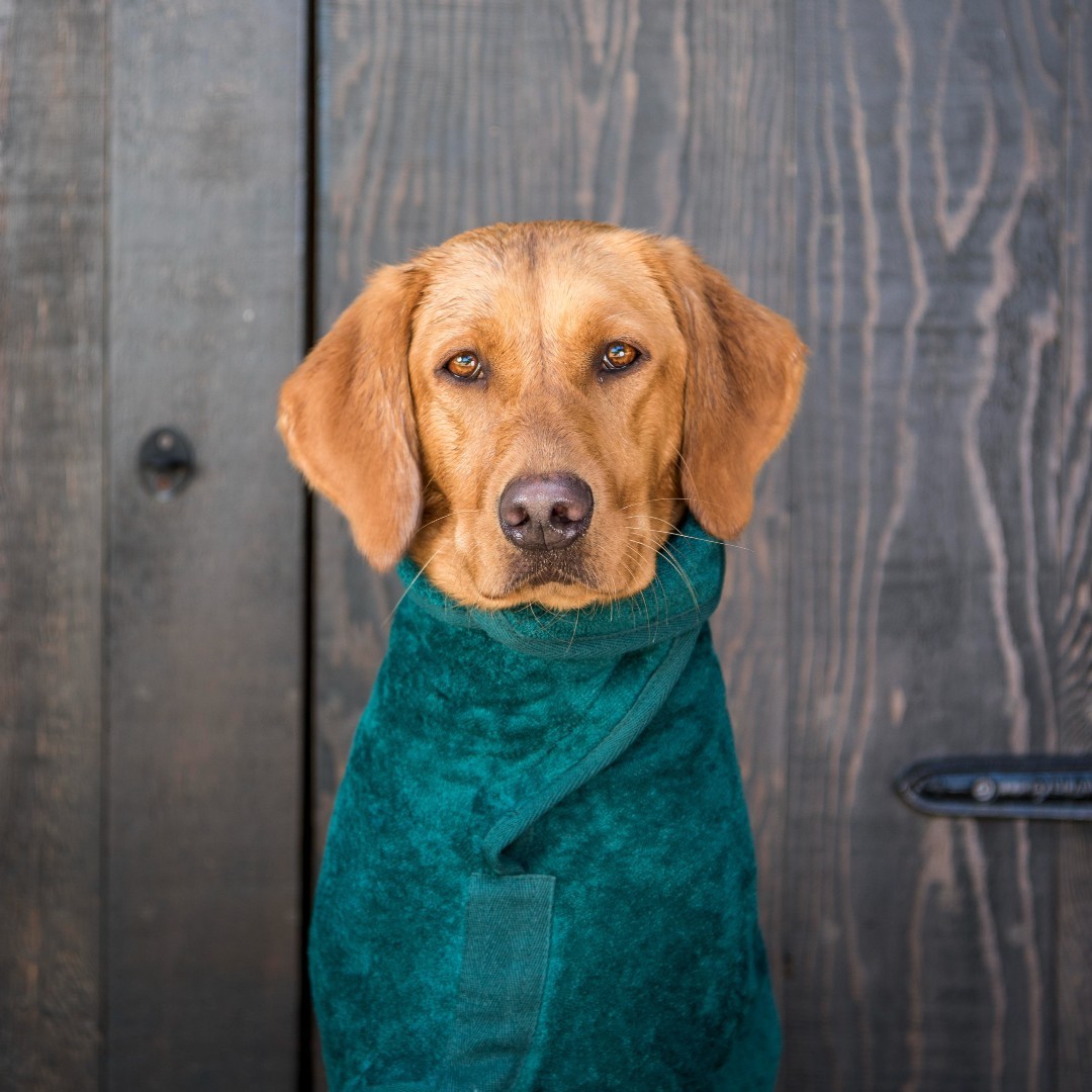 ruffandtumbledogcoats_27757757