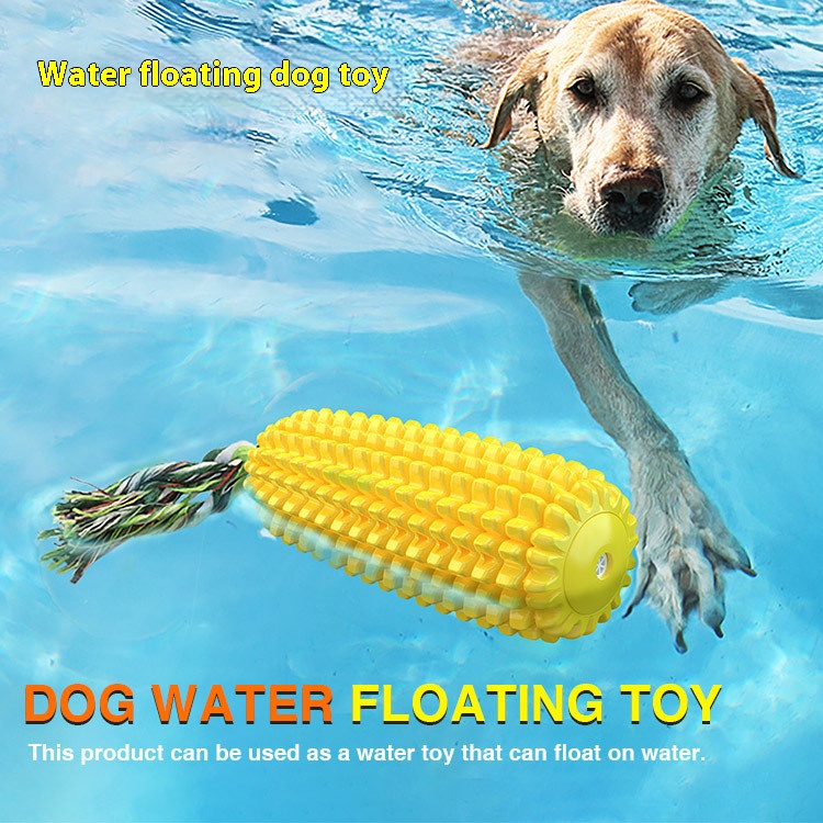 鍙戝０鐜夌背ali