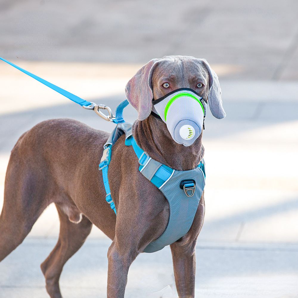 Pet muzzle breathable breather valve pet muzzle