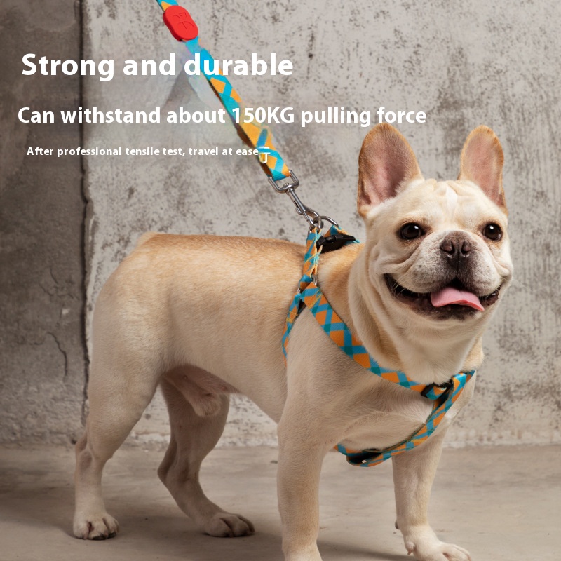 Colorful dog hand holding rope retractable adjustable dog chain anti-lost collar pet dog leash