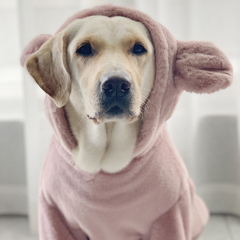 Fleece-Lined Dog Hoodie for Large Dogs | Warm and Cute Winter Clothes