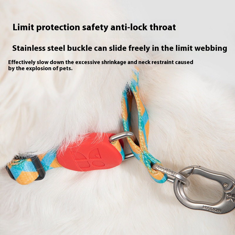 Colorful dog half P collar dog collar small dog collar dog leash walking dog hand holding rope