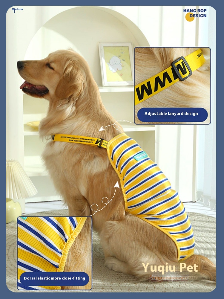 Medium & Big Dog Diaper3