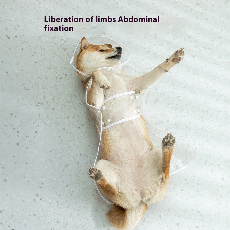 Waterproof Full Coverage Dog Raincoat with Hood and Reflective Strips - Lightweight Rain Suit for Large Dogs