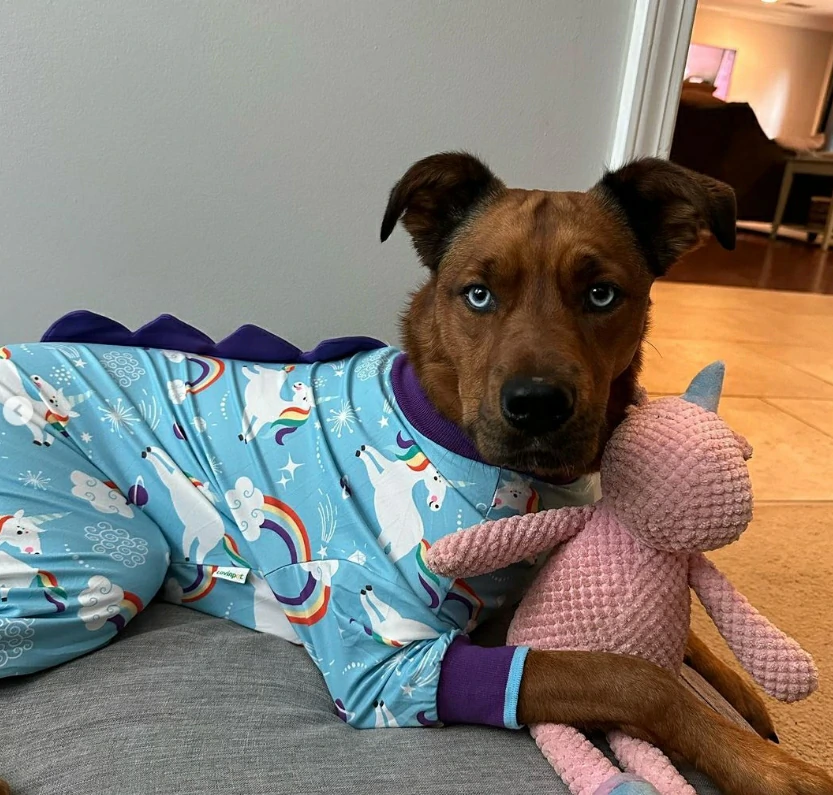 Dog wearing Lovinpet unicorn-themed pajamas lying on a cushion with a pink unicorn stuffed toy.