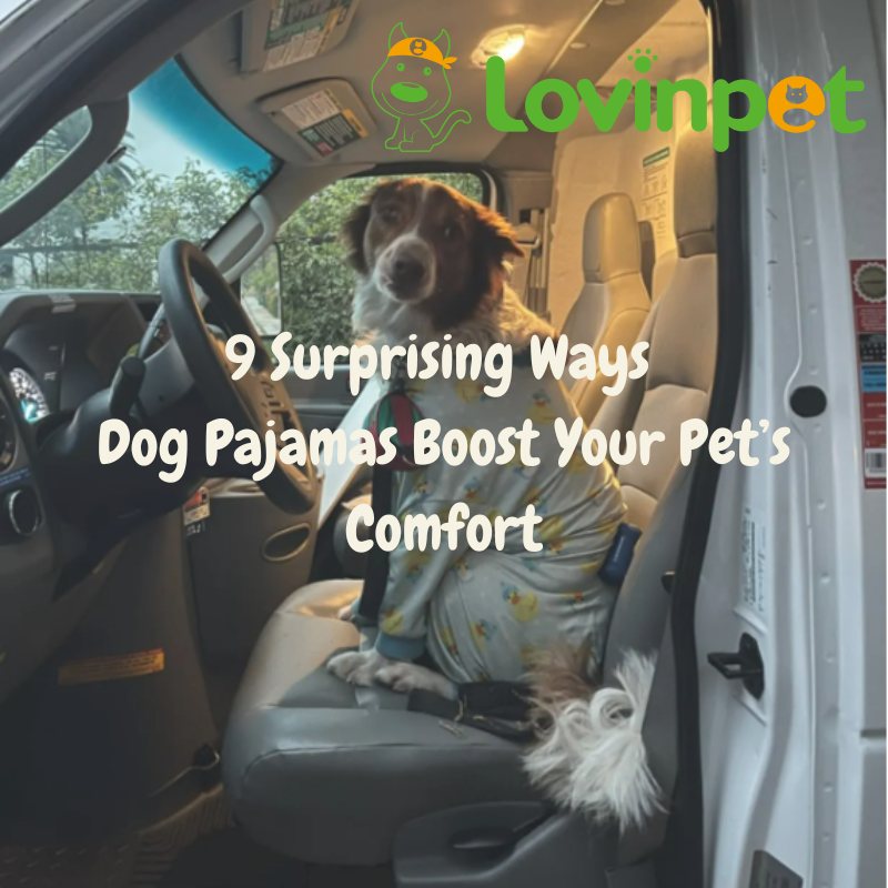 Dog sitting in a car seat, wearing duck-themed pajamas with "9 Surprising Ways Dog Pajamas Boost Your Pet’s Comfort" text overlay and LovinPet logo.