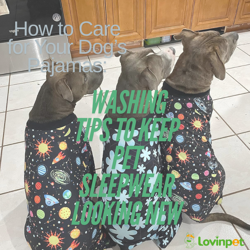 Three dogs wearing space-themed pajamas sitting on the kitchen floor with "How to Care for Your Dog's Pajamas: Washing Tips to Keep Pet Sleepwear Looking New" text overlay.