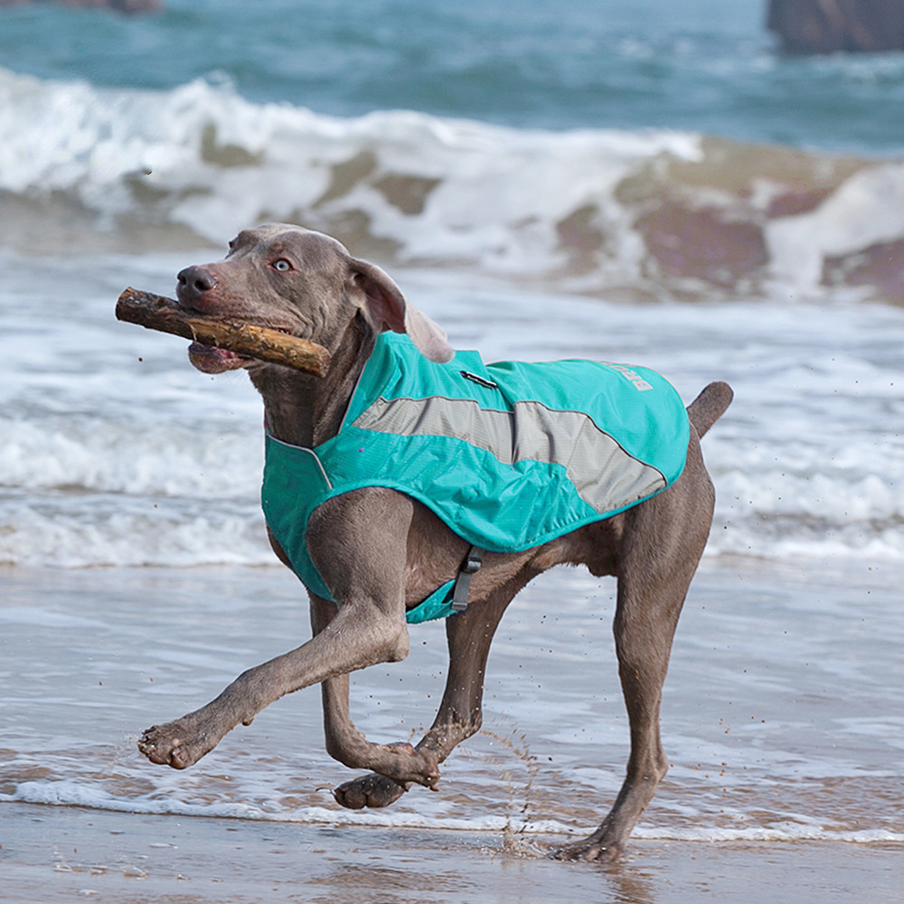 Dog quick-drying shell jacket large pet golden retriever Labrador thin with traction rope ring fluff vest
