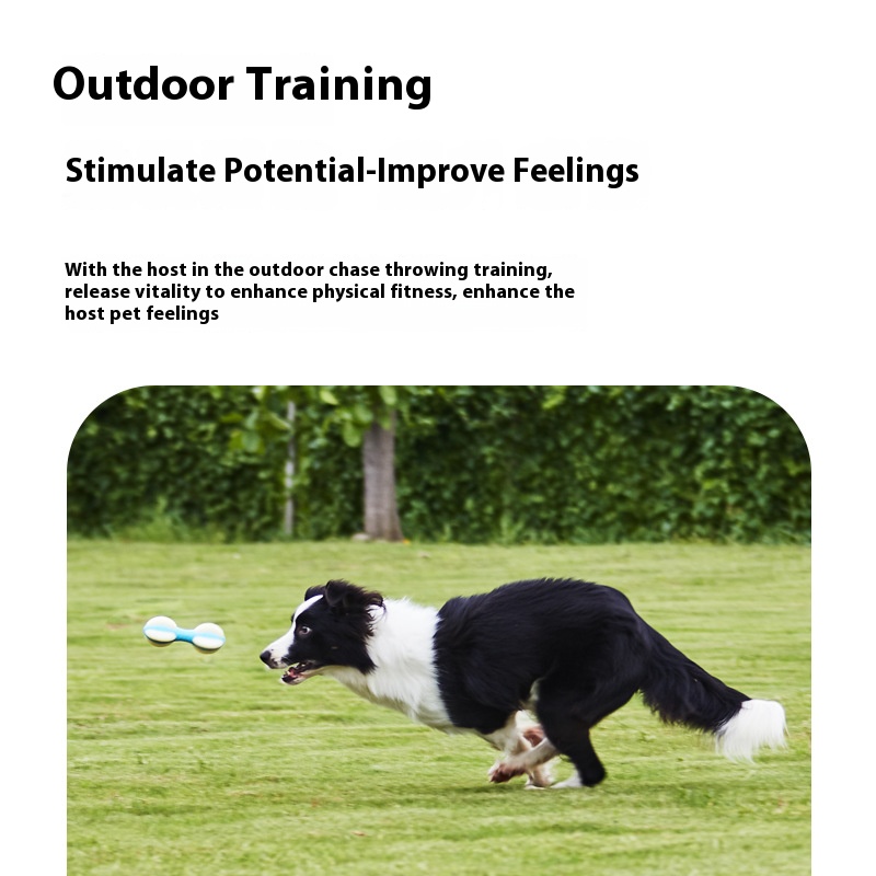 Nylon Pu beef flavor bite molar dumbbell medium large dog dog chewingNylon Pu beef flavor bite molar dumbbell medium large dog dog chewing