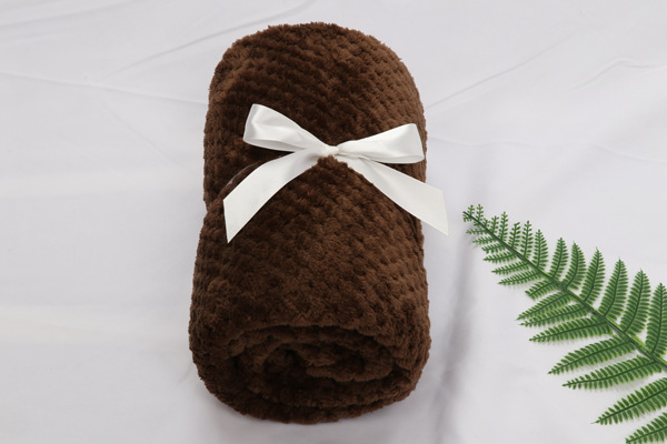 Pet Blanket dog blanket dog mat Four Seasons universal fleece blanket coral fleece quilt pet cushion mat