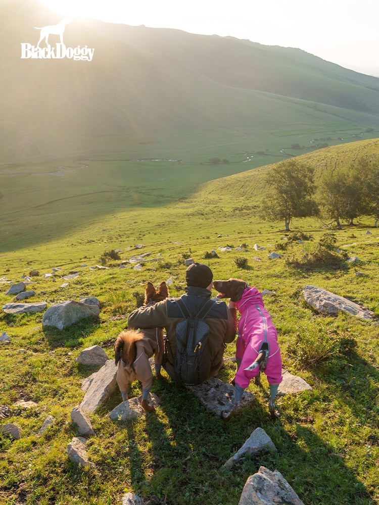 BlackDoggy rock warm hard shell four-leg outdoor shell jacket waterproof dog clothes autumn and winter 24 new