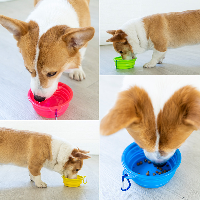 Pet cat and dog special silicone case folding bowl multi-color portable with hook pet tableware water feeding