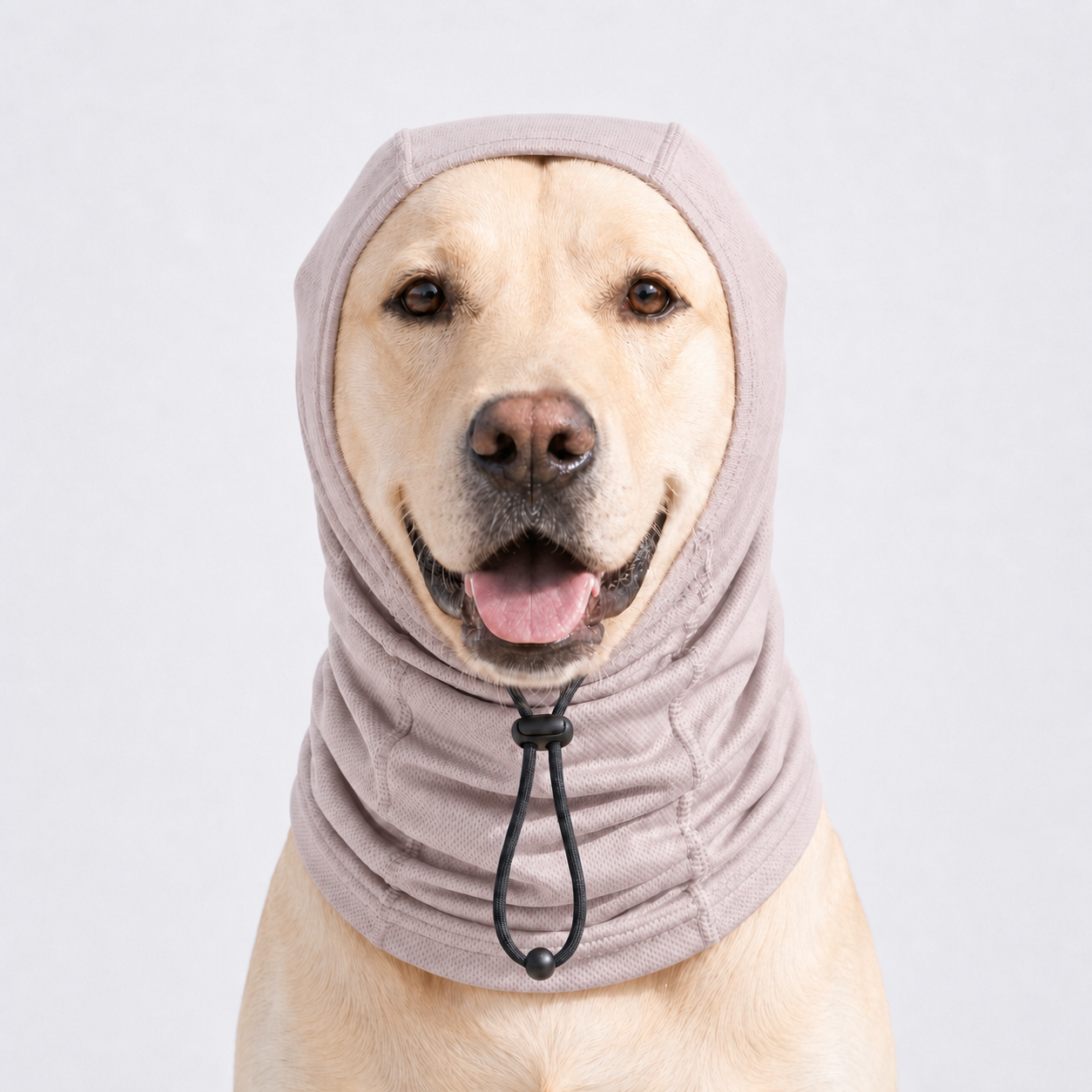 UPF50+ Dog Neck & Head Sun Protection Cover for Outdoor Walking