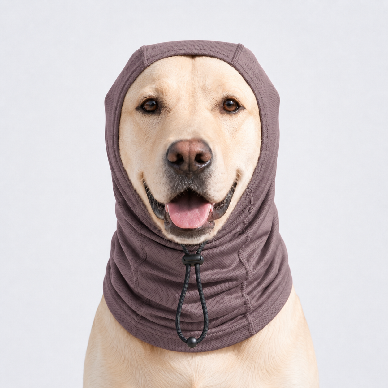 UPF50+ Dog Neck & Head Sun Protection Cover for Outdoor Walking