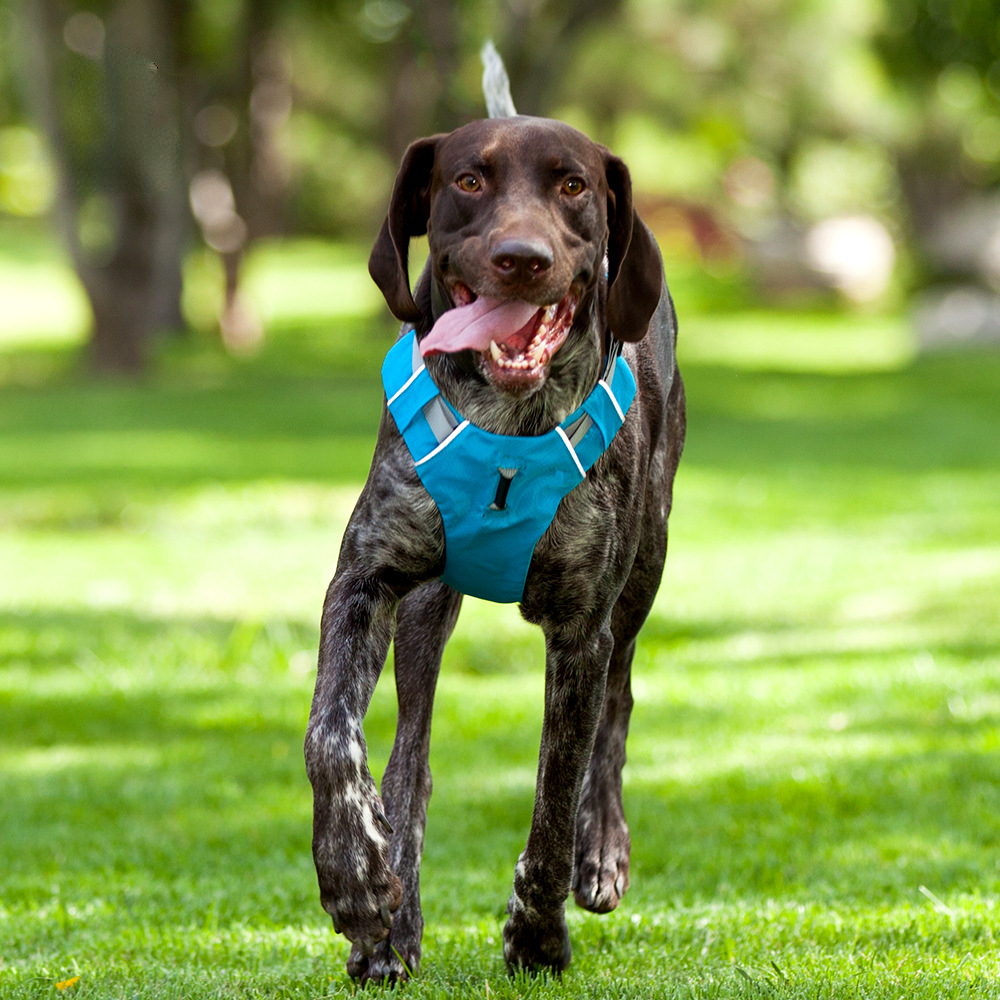 Dog's straps pet traction dog leash chest strap vest-style dog leash pet supplies