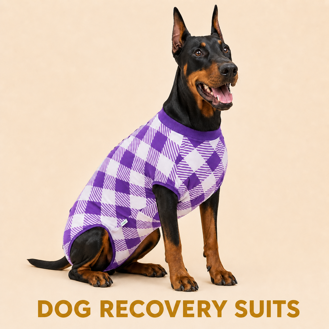 Dog Recovery Suit