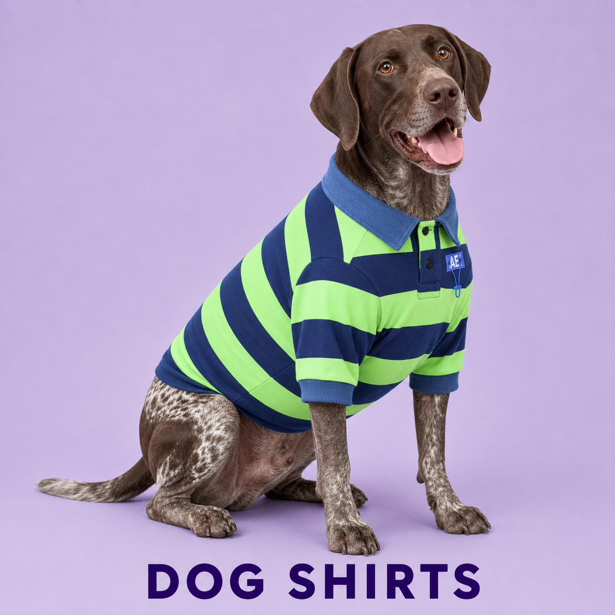 Dog Shirts